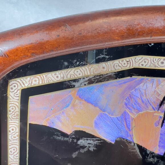 Vintage Iridescent Real Butterfly Wing Artwork Brazil Wood Tray Rio De Janeiro - Picture 12 of 12